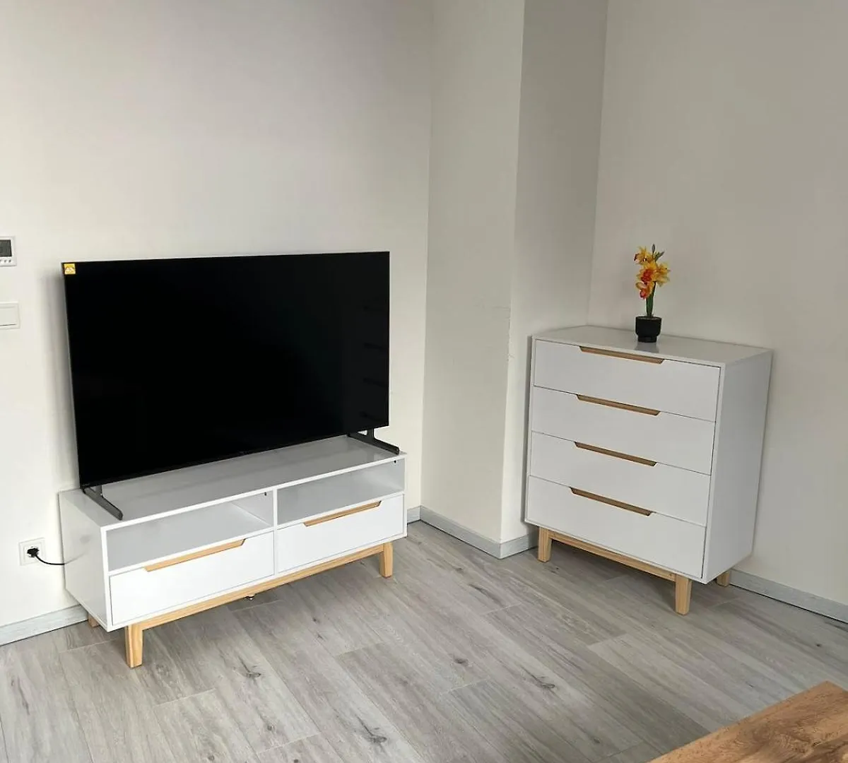 קלן Modern Flat For 3 Guests Near City And Transport גרמניה